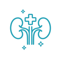 Nefrologija_icon