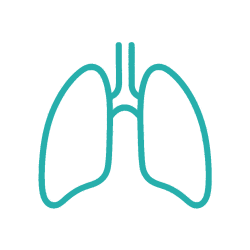 Pulmologija_icon
